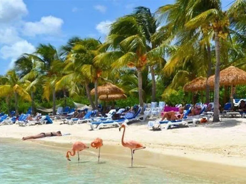 Aruba Blue Village Hotel And Apartments Palm Beach 2*,  Aruba