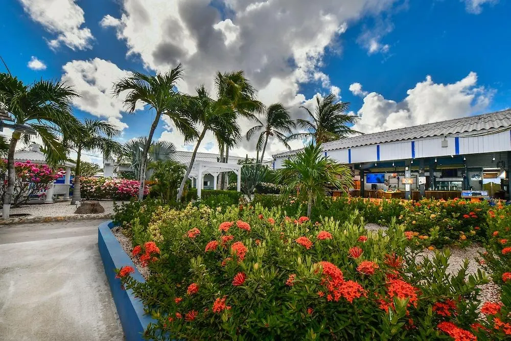 Aruba Blue Village Hotel And Apartments Palm Beach 2*,
