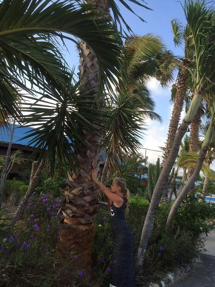 **  Aruba Blue Village Hotel And Apartments Palm Beach Aruba